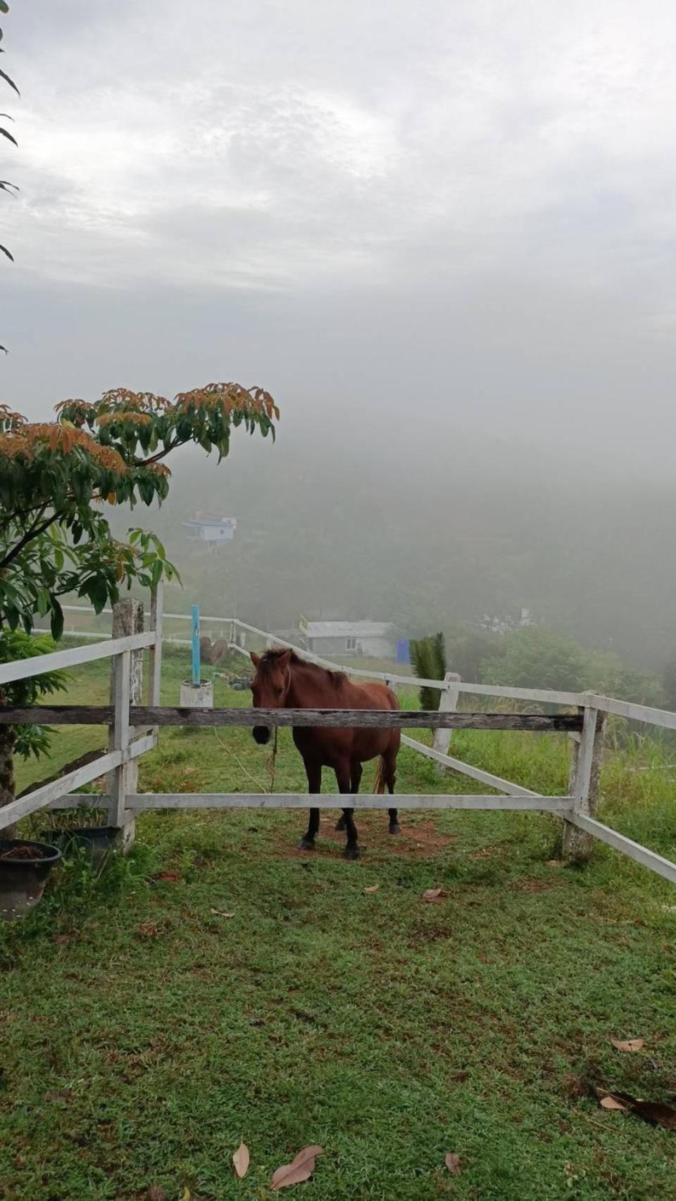 Viewpoint Гостевой дом Пхангнга