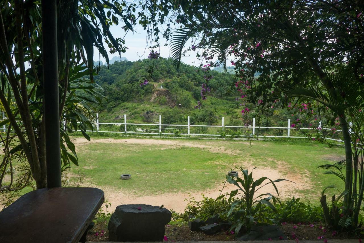 Viewpoint गेस्ट हाउस